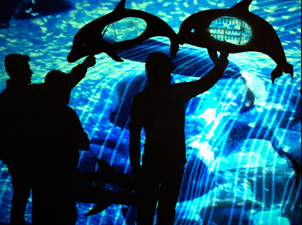 Michele Guieu - Species Encounter- Dive In Santa Cruz Museum of Art and History MAH during GLOW A Festival Of Light Santa Cruz October 2014