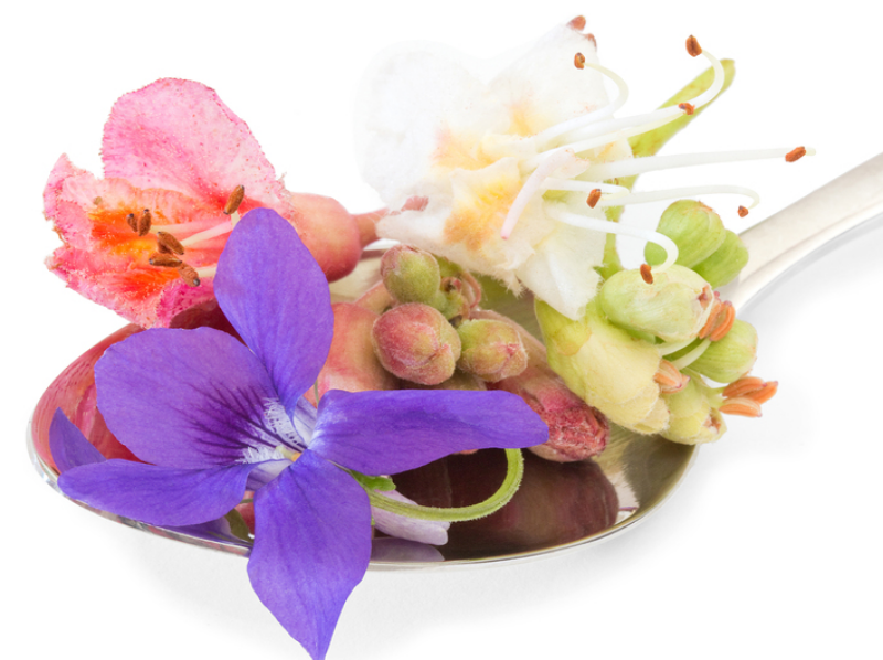 Which Bach Flower? Four Problems One Solution Remedies for