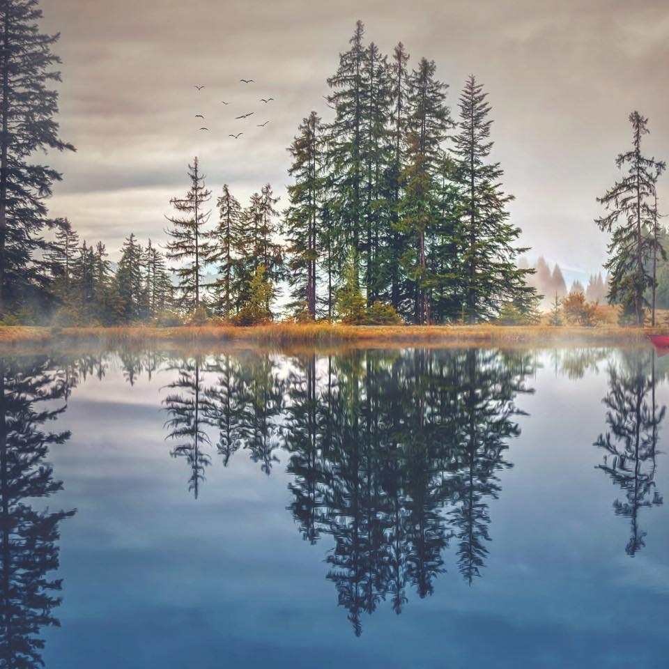 11B38322-6842-47ED-8CEA-464DA0AEDC56