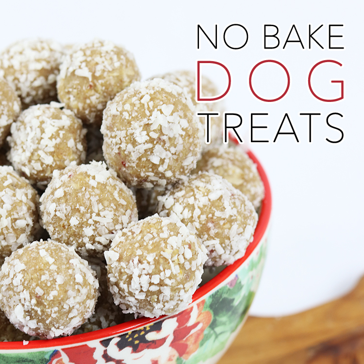 Quick and Easy DIY Dog Graham Cracker Treats + More!!!