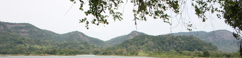 IMG 2865 - Copy
