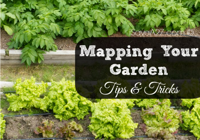Tips For Mapping Out Your Garden