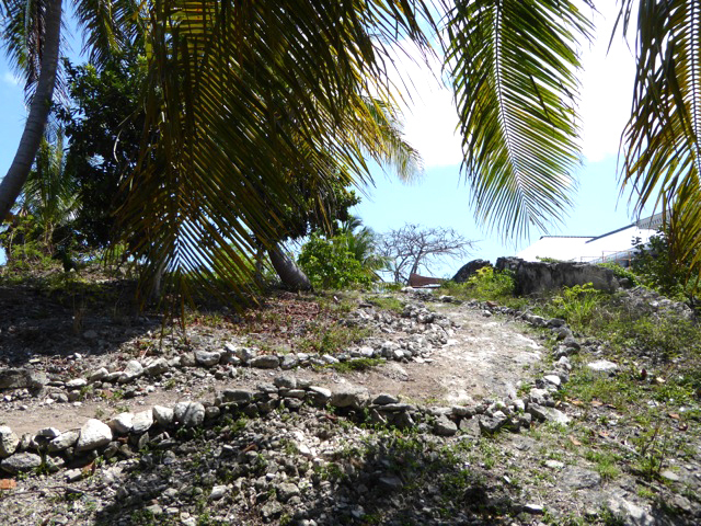 new-path