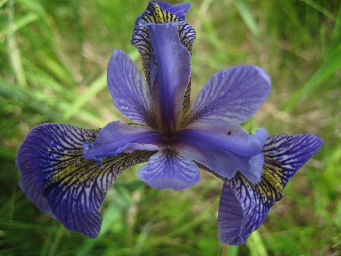 One Last Sale for 2016!