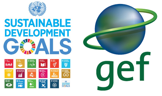 GEF SGD