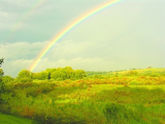 CD Rainbow over Waubesa Wetlands during flood-554