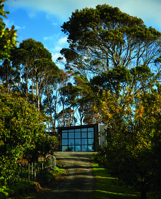 Realtor Sally Ridge is Single Remuera ‘home’ with 100m CV Do you