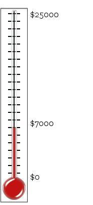 thermometer 7000