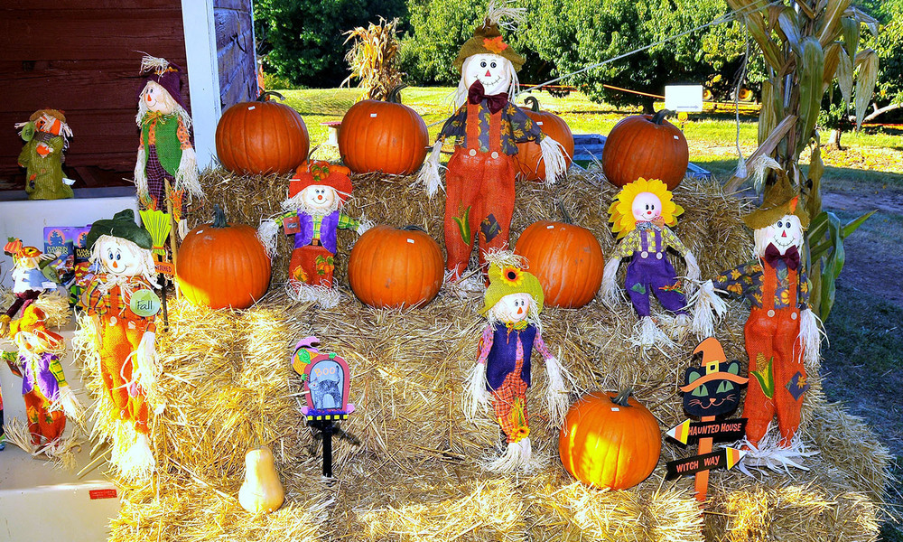 Fishers FallFest