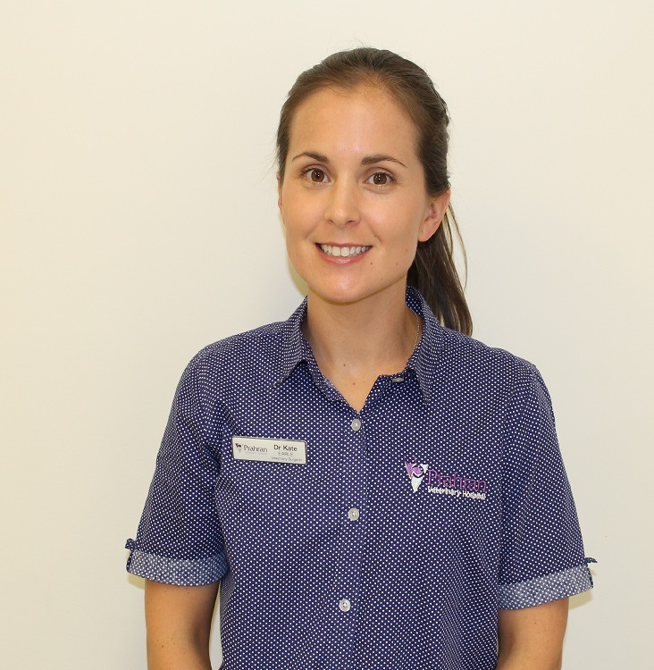 December Newsletter Merry Christmas from the Friendly Vet