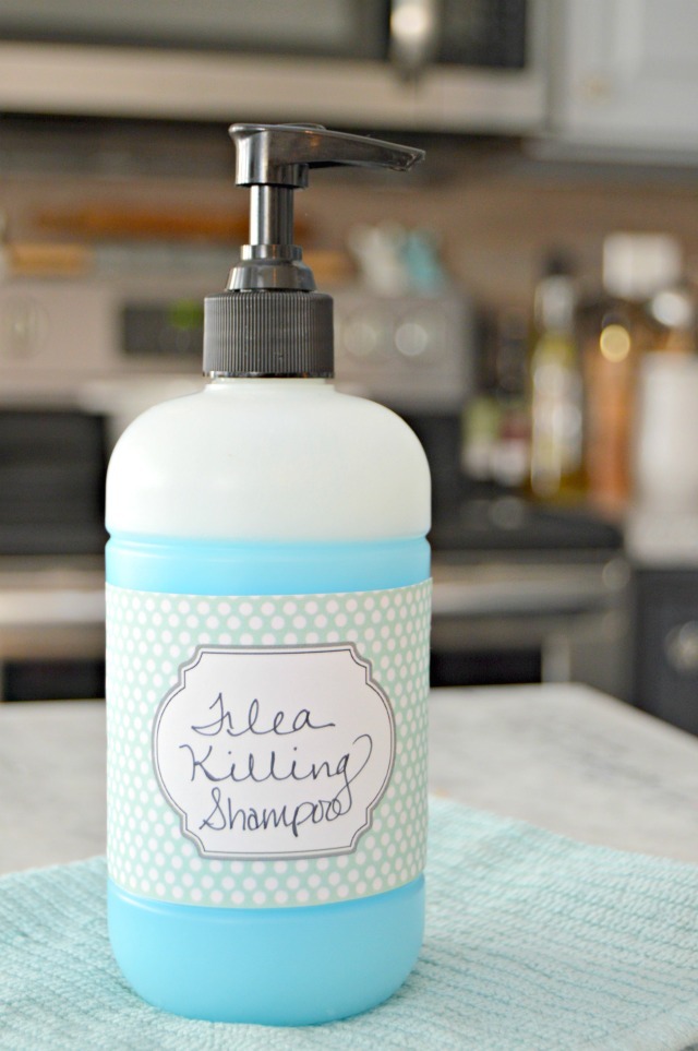 Homemade Pet Shampoo That Kills Fleas and More