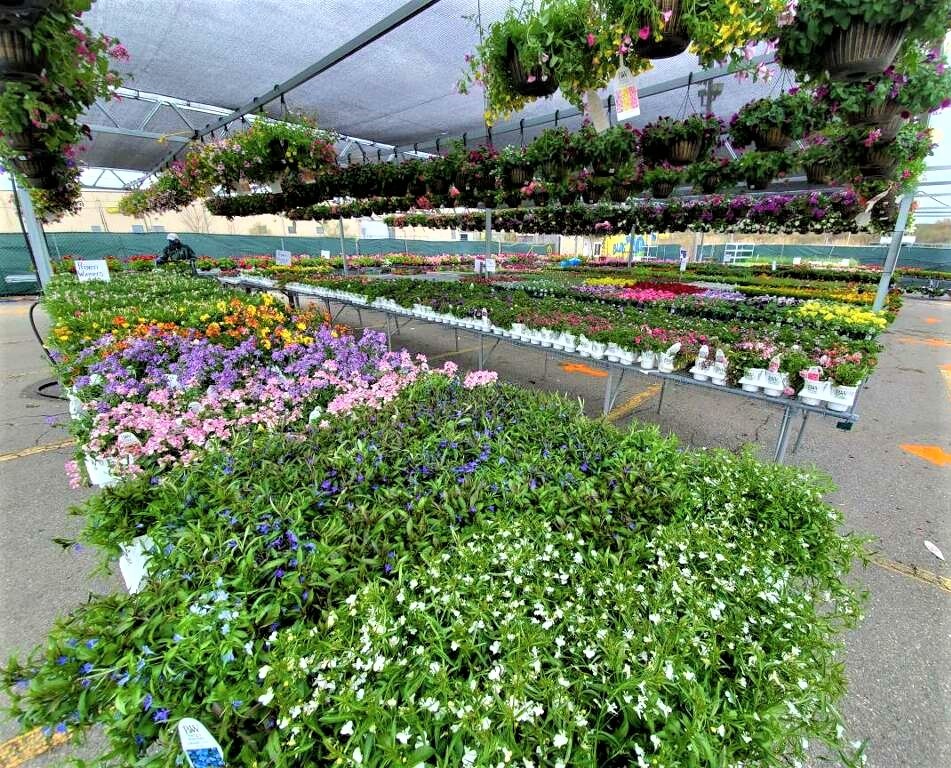 Don't Miss The Klein Deals!