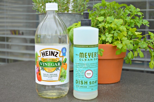 How To Make Weed Killer Using Vinegar