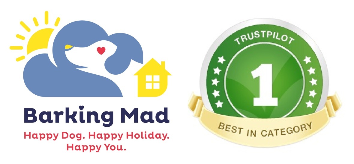 Would you like a dog to come and visit?