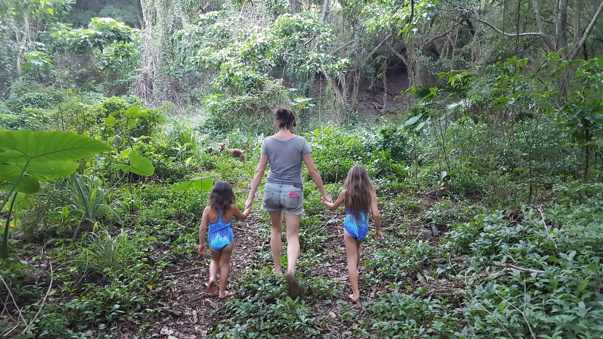 Live In Harmony With Nature Principle 2