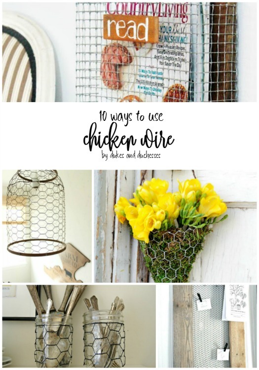 Awesome Ways to Use Chicken Wire