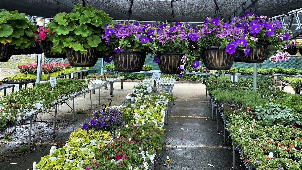 Don't Miss Klein's Massive Selection