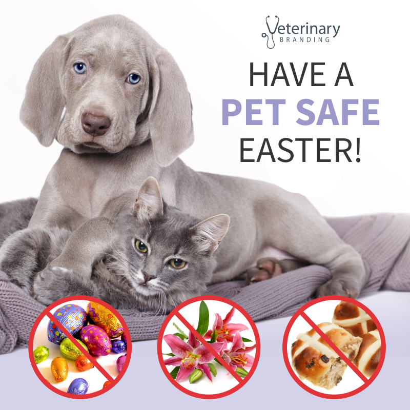 the-key-to-delivering-eggsellent-customer-service-in-your-veterinary