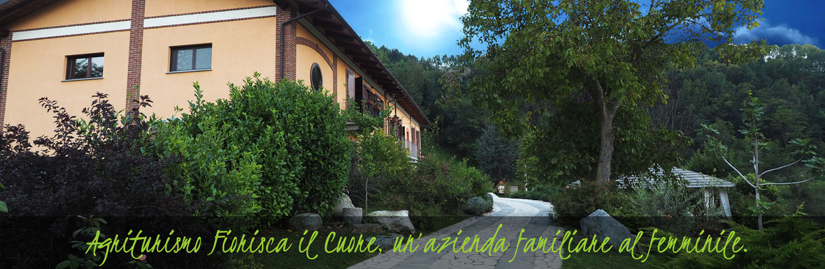 Fiorisca Il Cuore PIc