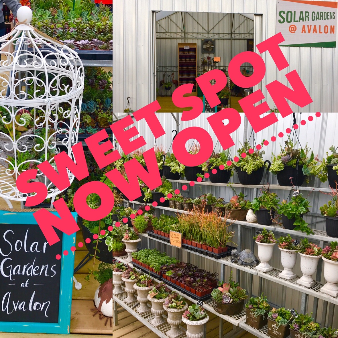 Introducing Solar Gardens Avalon...
