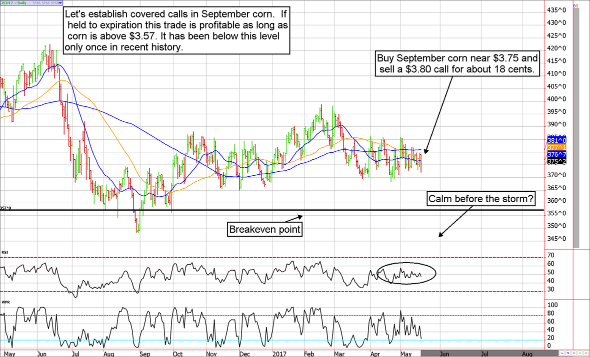 Strategy covered calls in corn