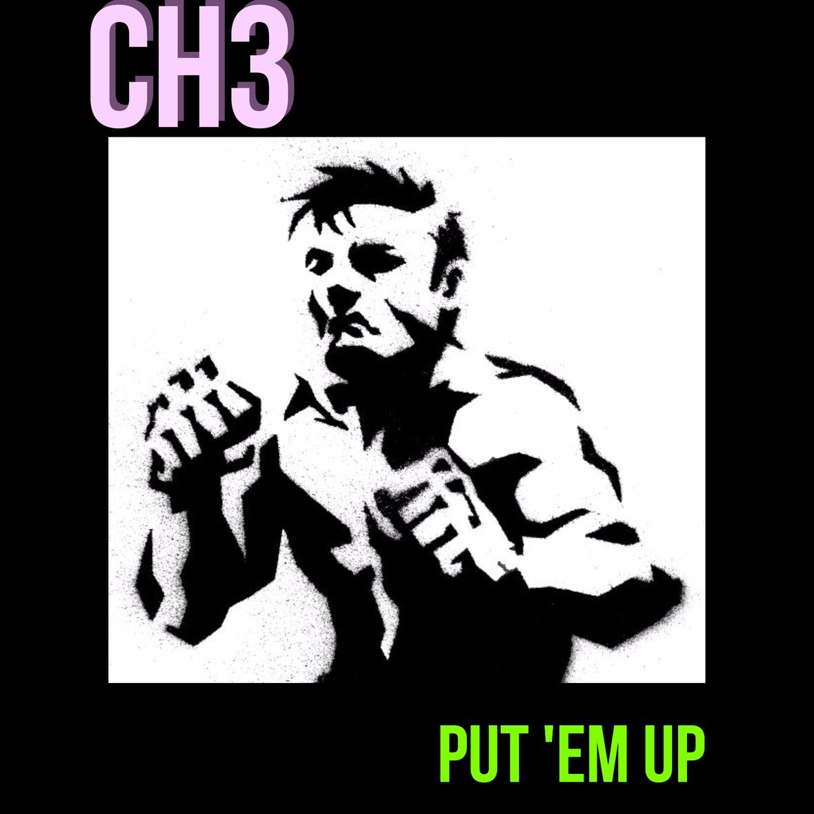 ch3 put em cover cover use this