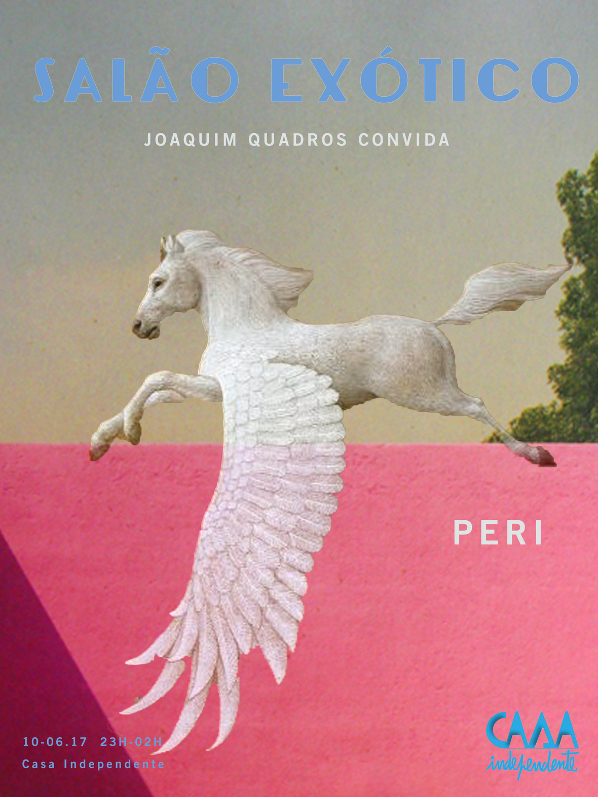 salo exotico - CASA INDEPENDENTE - 7