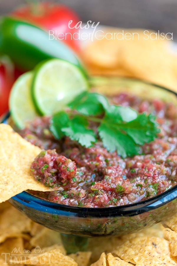 The BEST Blender Salsa!