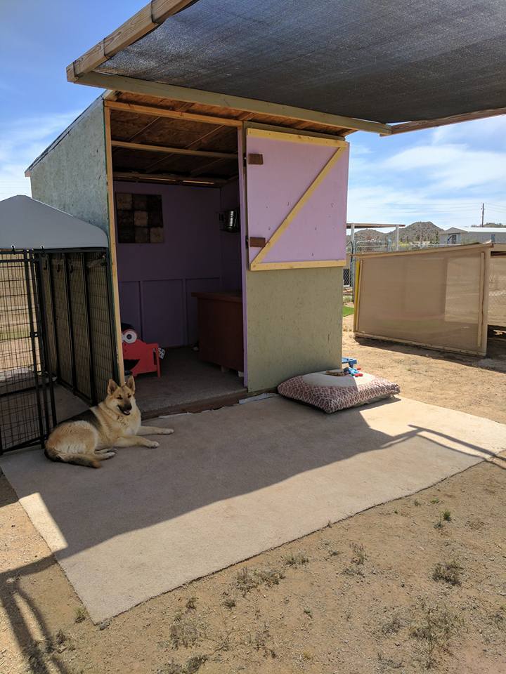 SOS Save our Sanctuary!