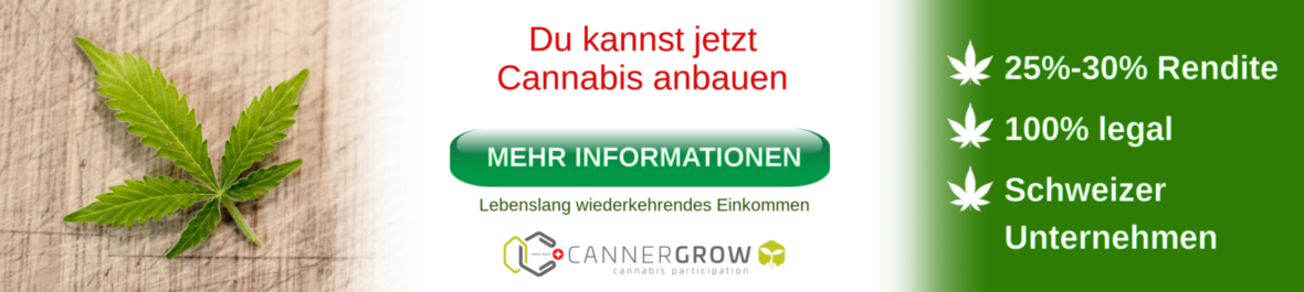 Cannergrow Banner Laengs-1320x296