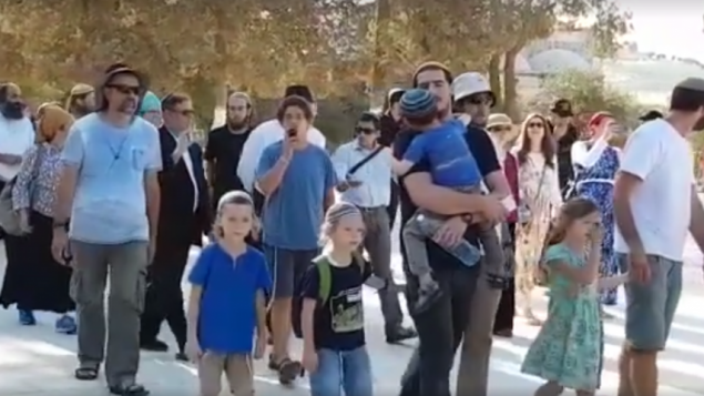 NOW on temple mount