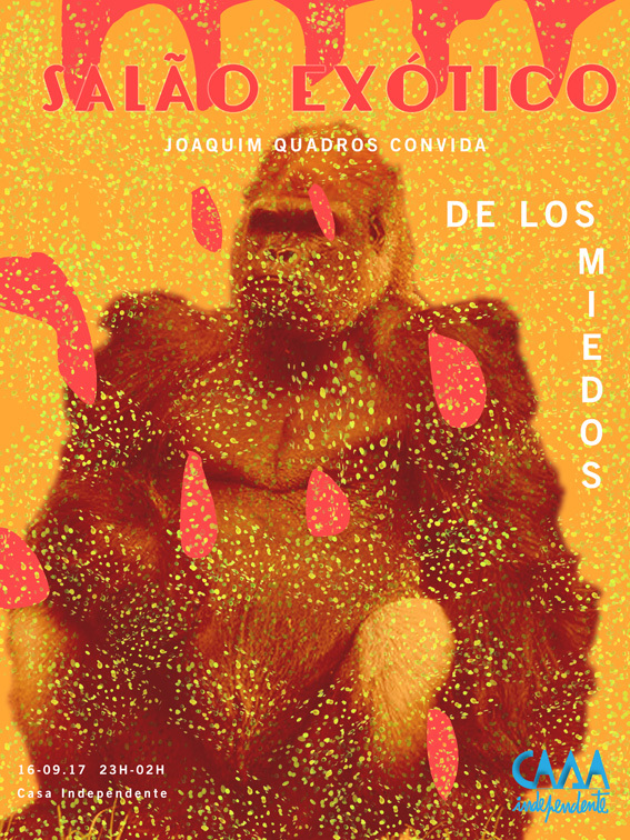 salo exoitico - CASA INDEPENDENTE - 9