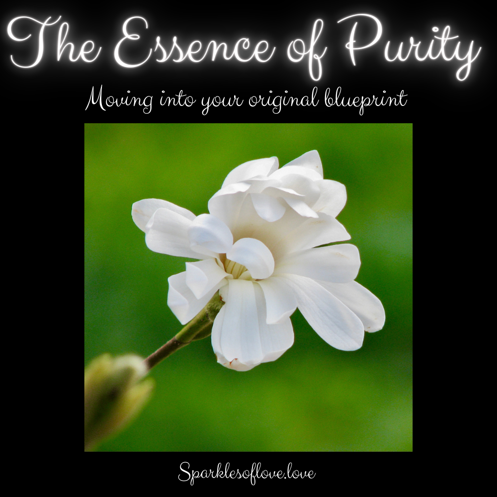 The Essence of Purity