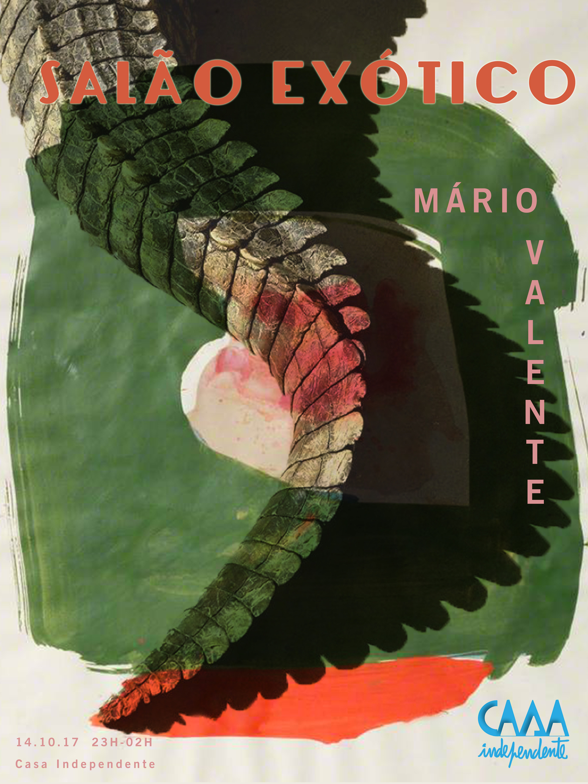 salo exotico - CASA INDEPENDENTE - 10