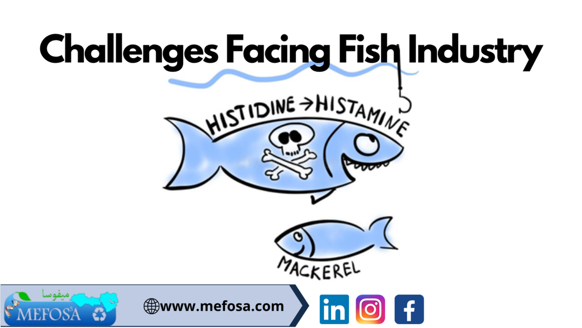 Challenges Facing Fish Industry