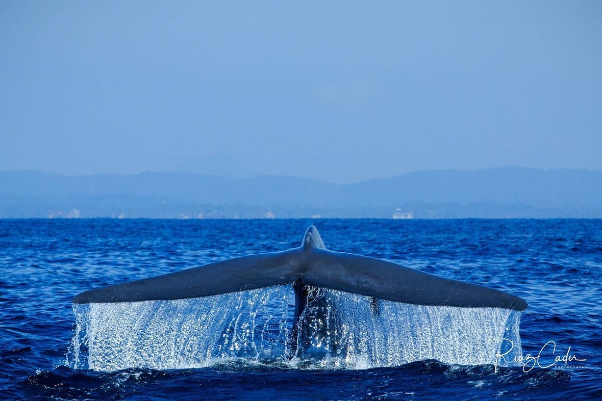 Please vote for our Marine Resource-Conservation Initiative
