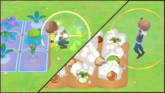 2 Tips FarmingSkill