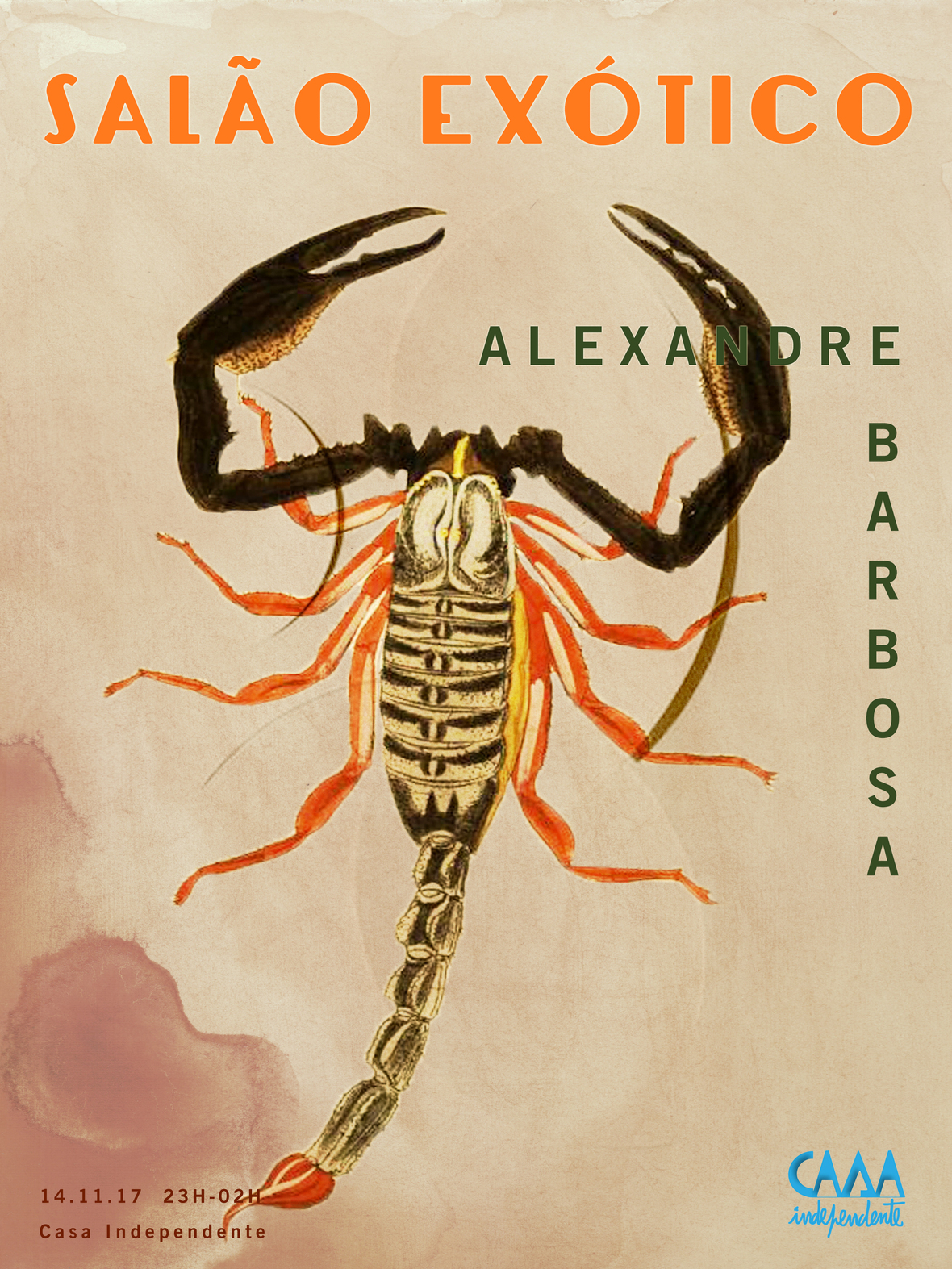 salo exotico - CASA INDEPENDENTE - 11