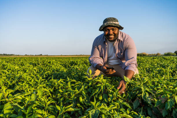 farmers