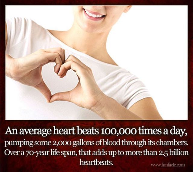 up your general knowledge with these fun facts 640 18