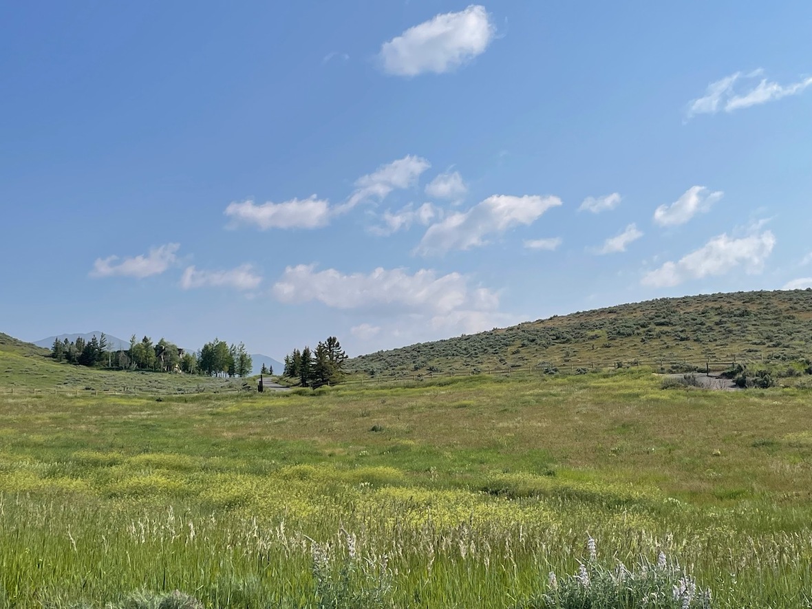 Sun Valley Real Estate/Christie's Holiday Newsletter 2022