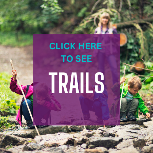 fun-family-events-in-ocala-this-weekend