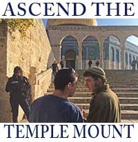 ascend-the-temple-mount-228-nwslttr