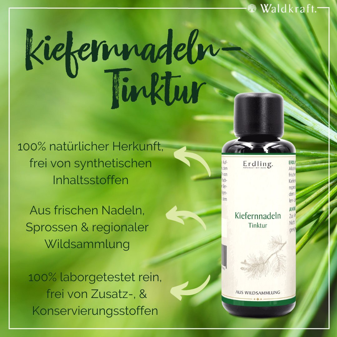 KiefernnadelnTinktur