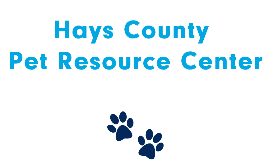 Pet Fest 2023 Newsletter 1