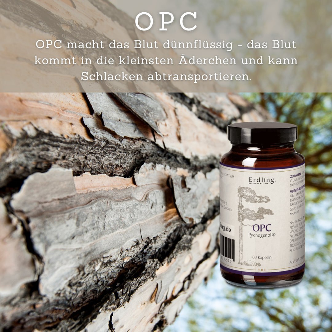 OPC