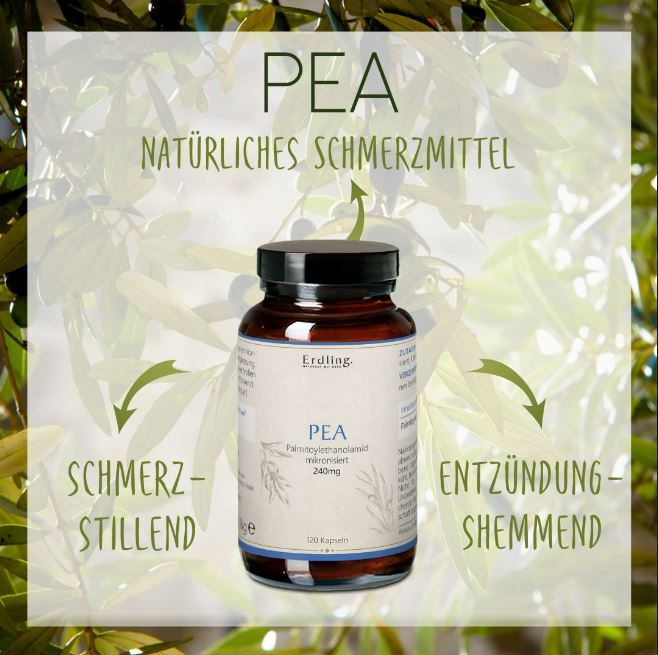 PEA