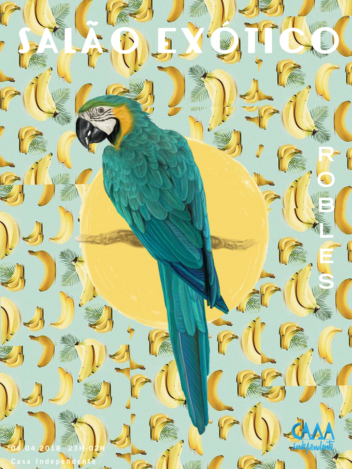 salo exoitico - CASA INDEPENDENTE - 14