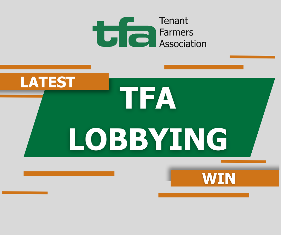 Dive into the Latest News from the TFA 10 January 2024