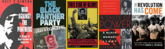 top-10-black-panther-books